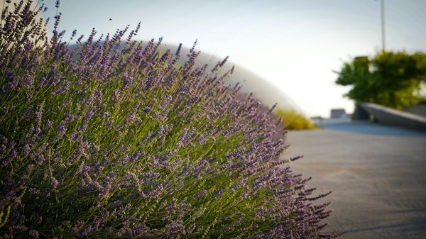 Améliorez votre confort : guide sur les isolants thermiques