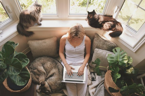 Inconvénients baie vitrée à galandage : ce qu'il faut savoir