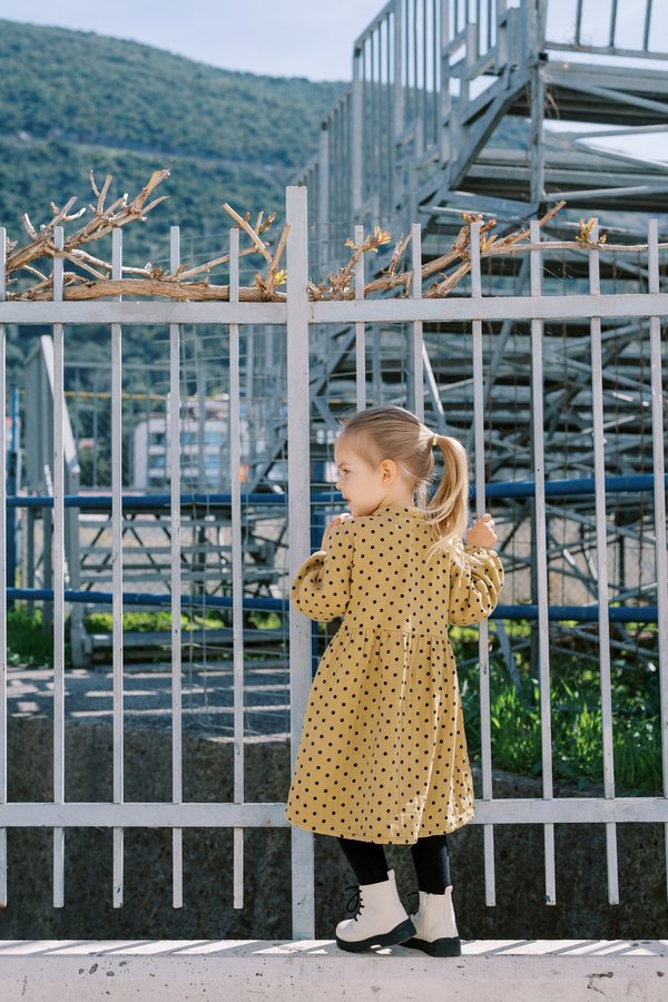 Soubassement pour clôture : choisissez la plaque idéale